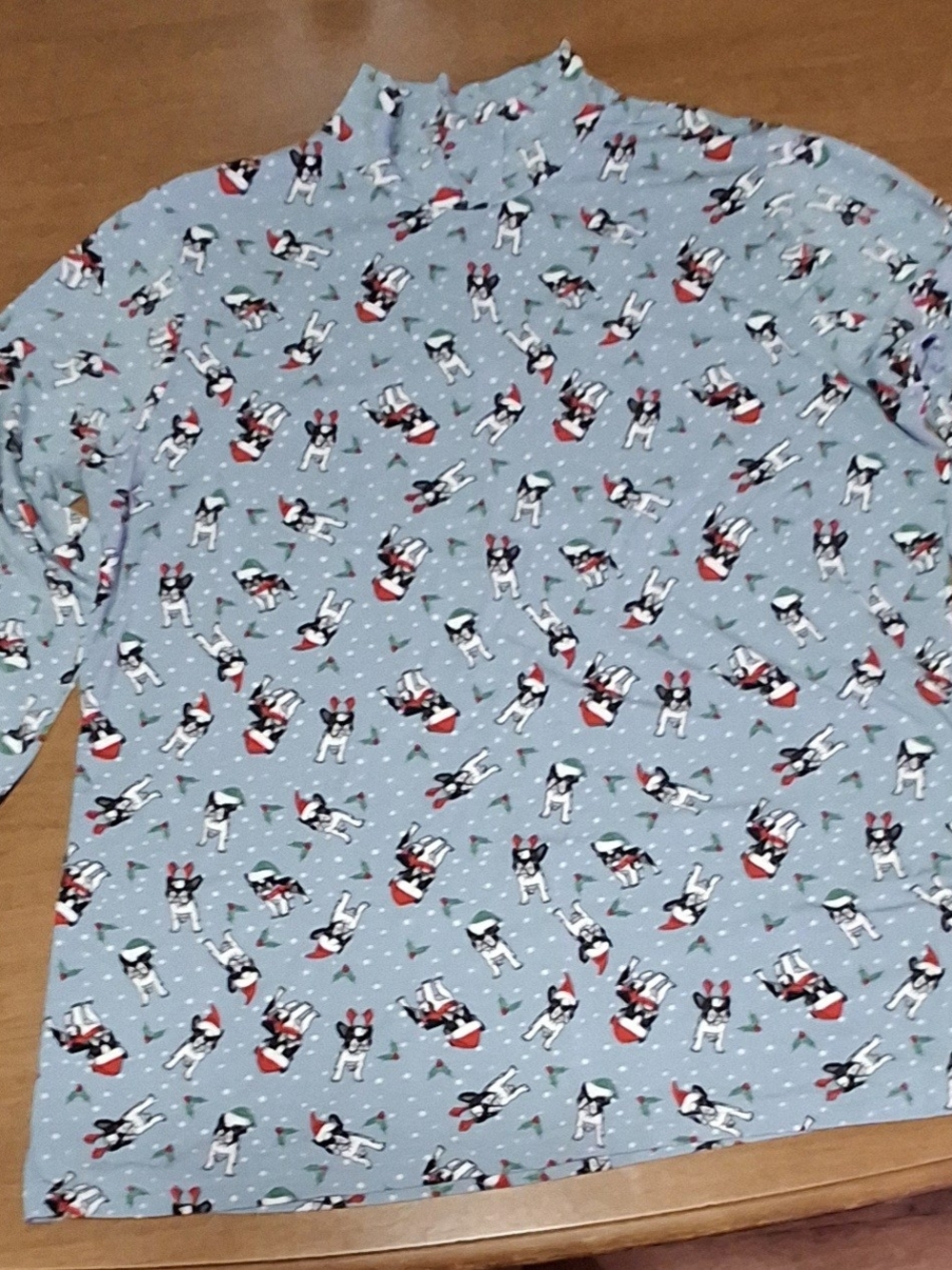 Time and Tru Light Blue Long-Sleeve Holiday Dog Print Shirt